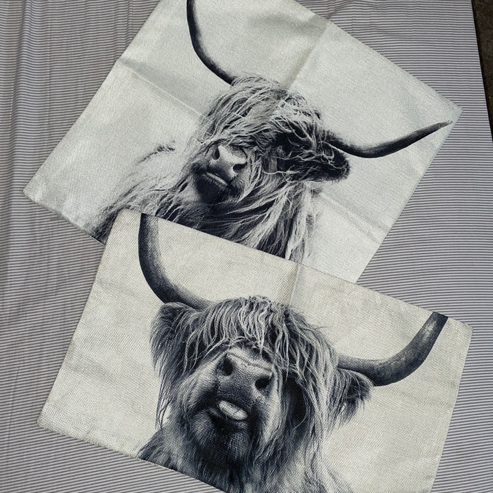 Bundle: 2 pillow covers